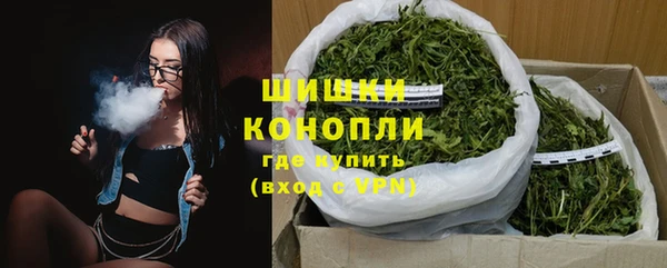 PSILOCYBIN Белокуриха