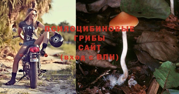прущая мука Богородицк