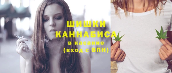метадон Богданович
