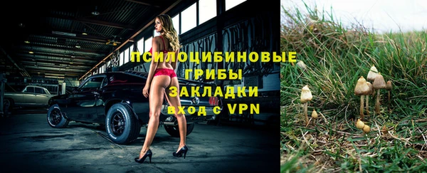 метадон Богданович