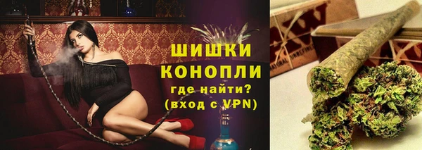 метадон Богданович