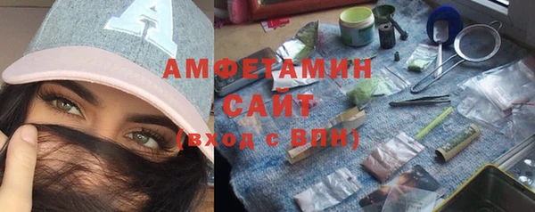 ГАЛЛЮЦИНОГЕННЫЕ ГРИБЫ Бородино