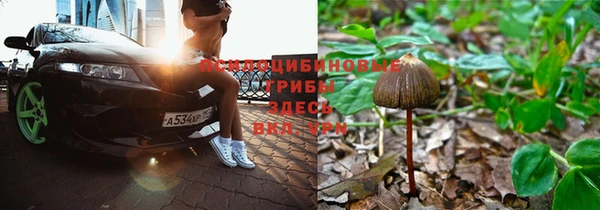 прущая мука Богородицк