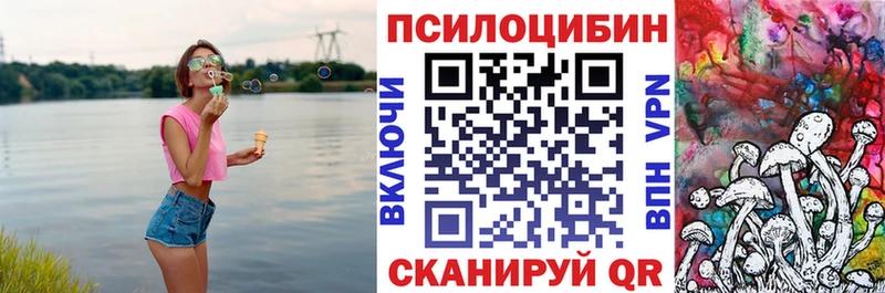 omg маркетплейс  купить наркотик  маркетплейс клад  Псилоцибиновые грибы мухоморы  Балтийск 